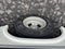 2017 Chevrolet Express Cutaway 3500 Work Van